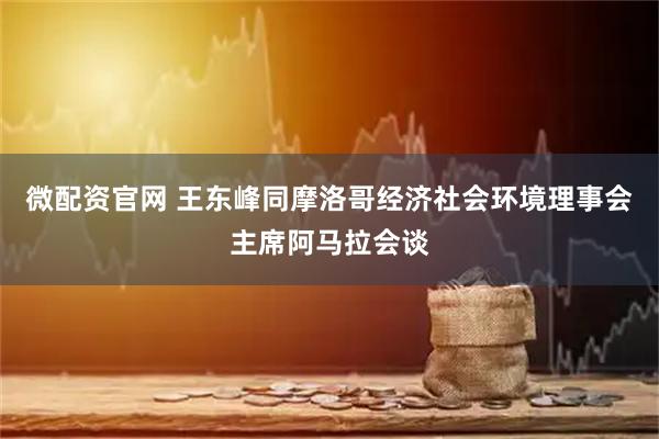 微配资官网 王东峰同摩洛哥经济社会环境理事会主席阿马拉会谈