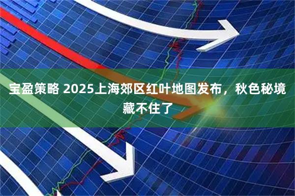 宝盈策略 2025上海郊区红叶地图发布，秋色秘境藏不住了