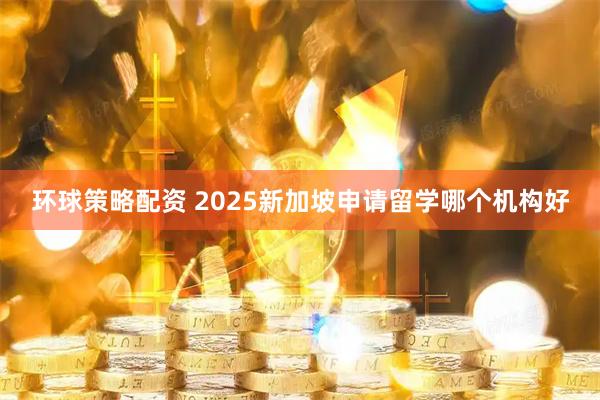 环球策略配资 2025新加坡申请留学哪个机构好