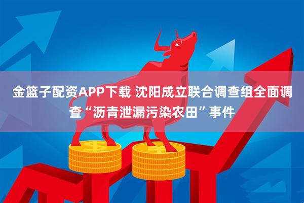 金篮子配资APP下载 沈阳成立联合调查组全面调查“沥青泄漏污染农田”事件