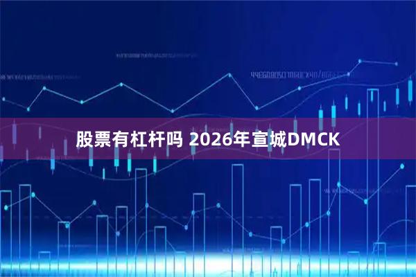 股票有杠杆吗 2026年宣城DMCK